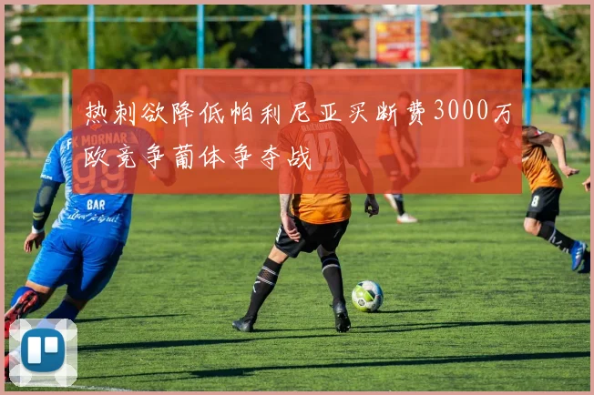 热刺欲降低帕利尼亚买断费3000万欧竞争葡体争夺战